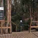 Barrio Foresta