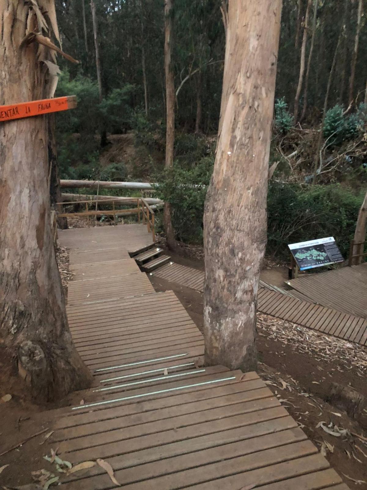 Barrio Foresta Viña del Mar